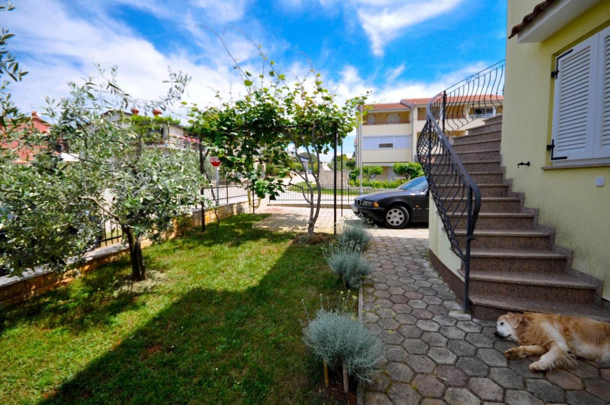 Ferienwohnung Fuer 2 Personen 30 M2 In Novigrad, Istrien Karpinjan Ngoại thất bức ảnh